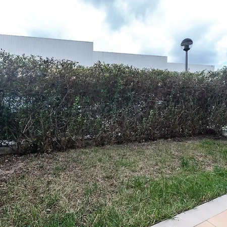 Sonho Eterno アパート