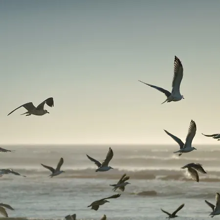 アパート Sonho Eterno